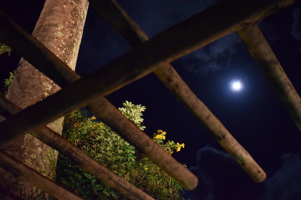 Pousada Sossego Boipeba Velha Boipeba エクステリア 写真